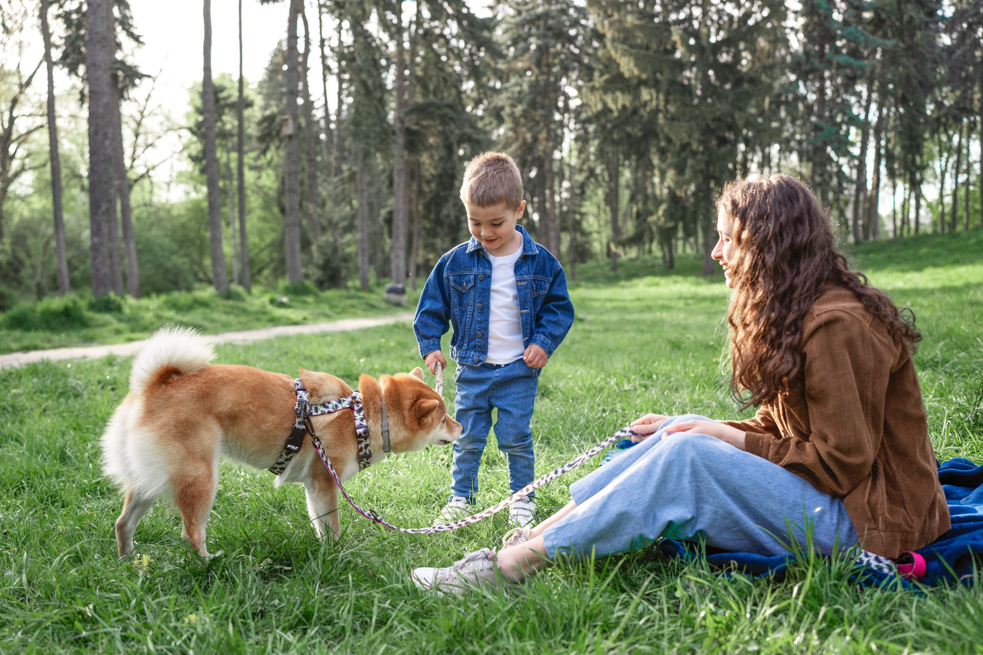 urlaub haustiere auf dem campingplatz