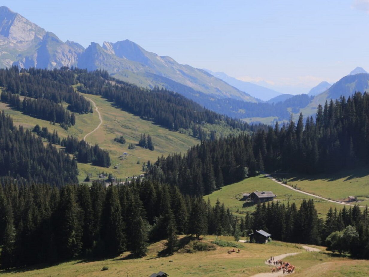 plateau de beauregard